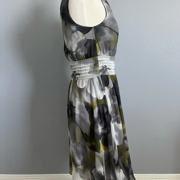 Ann Taylor chiffon dress - Picture 3 of 5